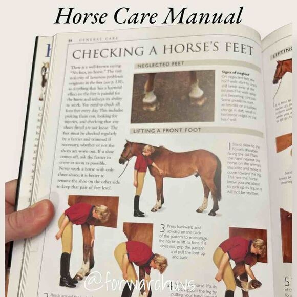 Complete Horse Care Manual - Hard Cover - Picture 8 of 9